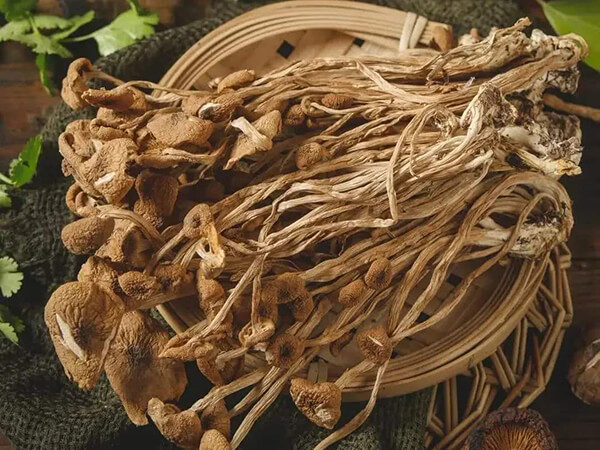 食用菌茶树菇配送