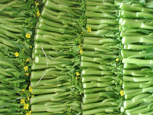 蔬菜鲜度保持法