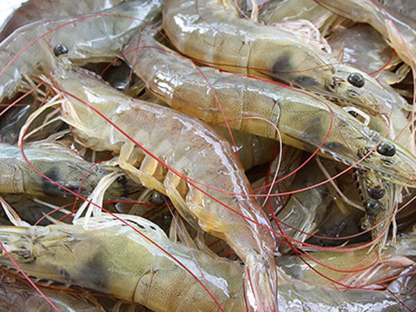 在广州选择好的广州蔬菜配送公司尤为重要