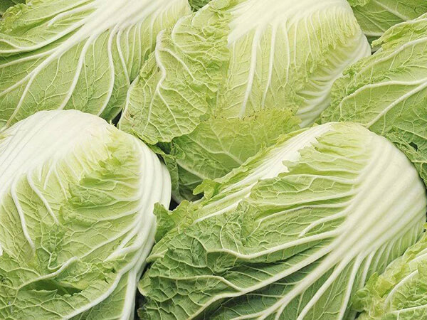 广州食材配送公司讲解蔬菜的配送流程