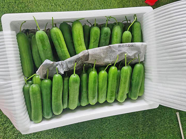 糧油配送公司教你花生油儲存方法？